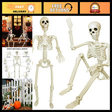 2 Pack 36