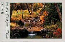 New Hampshire Nh White Mountains New Hampshire Nh Dick Smith Postcard picture