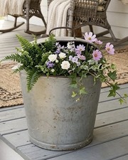Vintage Antique Primitive Galvanized Steel Metal Milk Can Pail Rustic Farmhouse  picture