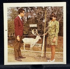 Vintage old found photo 1960's Color Pretty Woman Couple Deer Zoo Travel picture