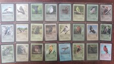 Life TCG Rare Birds x 24 Cards 02-25/130 1270 picture