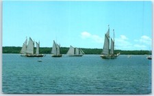 Charter schooners from Camden mustering in Eggemoggin Reach - West Brooklin, ME picture