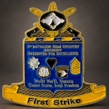 101st Airborne 1-502 Infantry Presented Excellence First Strike Challenge Coin picture