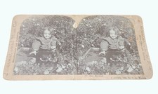 Antique 1899 Stereoview 
