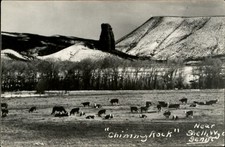 Chimney Rock & cattle near Shell Wyoming ~ RPPC real photo postcard picture