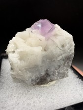 Rare Locale Purple Fluorite on Dolomite (Thumbnail)- Kingsport Quarry, Tennessee picture