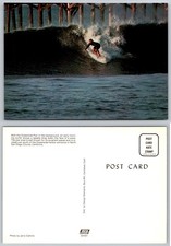 Continental Oceanside California Pier Surfing Jerry Calkins Postcard picture