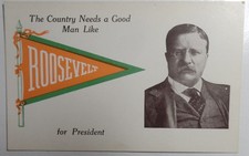 1912 Teddy Roosevelt Presidential Campaign Pennant Postcard Many Diffrent Styles picture