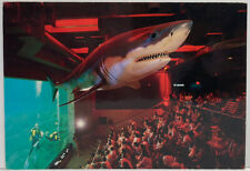 CAMDEN NJ State Aquarium Thomas H Kean Shark Tank Show People Vintage Postcard picture