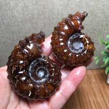 168g2pc  Natural  Stone sculptor decoration specimens of Madagascar   fb1937 picture