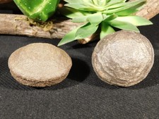 Larger MOQUI Marble / Shaman Stone PAIR 100% Natural Utah 182gr picture