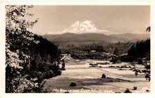 Mt. Rainier and Ohop Valley Washington Scenic View 1930s RPPC Photo Postcard picture