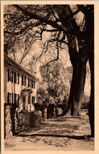 Blossomtime in Farmington CT Vintage Postcard TP12-27 picture