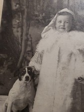 Antique 1900s Chicago Studio Photo Fred Robbins White Fur Coat Toddler Dog picture