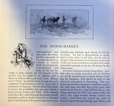 1895 Horses At A Horse Market illustrated picture