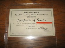 ~WWII ~US Army Signal Corps~Cert. of Service of Pigeon~ November 13, 1946~Orig.~ picture