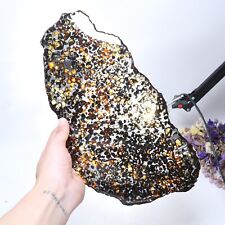 423g Beautiful SERICHO pallasite Meteorite slice - from Kenya C4878 picture