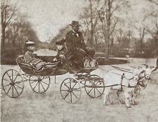 CIVIL WAR AFRICAN AMERICAN COACHMAN DRIVES CHILDREN IN NEW YORK'S CENTRAL PARK picture