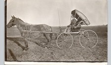 HORSE-DRAWN BUGGY nevada ia c1910 postcard iowa real photo rppc dirt road picture