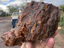 ☘️RR⛏️: Druzy Agate Mini-stump W/fossil Root, NE Arizona 4+ Lb 🌈 picture